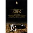 russische bücher: Салимов В.А. - Патология и дифференциальная диагностика факторных болезней молодняка сельскохозяйственных животных. Атлас