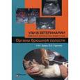 russische bücher: Под ред. Слесаренко Н.А., Зуева Н.М., Сургина В.А - УЗИ в ветеринарии. Мелкие домашние животные. Органы брюшной полости
