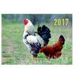 russische bücher:  - Квартальный календарь 2017 "Петух с курицей"