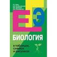 russische bücher: Заяц Р. Г. - Биология в таблицах, схемах и рисунках