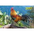 russische bücher:  - Календарь квартальный на 2017 год "Символ года. Вид 2"