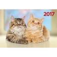 russische bücher:  - Календарь квартальный на 2017 год "Котята"