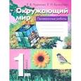 russische bücher: Чудинова Елена Васильевна - Окружающий мир. 1 класс. Проверочные работы. ФГОС
