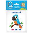 russische bücher:  - Набор карточек для детей. Кто где находится?