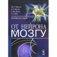 russische bücher: Николлс Дж.Г., Мартин А.Р., Валлас Б.Дж., Фукс П.А - От нейрона к мозгу