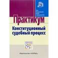 russische bücher: Комарова В.В. - Конституционный судебный процесс. Практикум