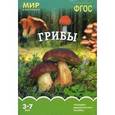 russische bücher: Минишева Т. - Грибы. Наглядно-дидактическое пособие