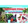 russische bücher:  - Зимующие птицы России
