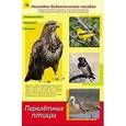 russische bücher:  - Дидактическое пособие. формат А4. Перелетные птицы