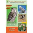 russische bücher:  - Дидактическое пособие. формат А4. Хищные птицы
