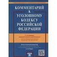 russische bücher: Грачева Ю. В. - Комментарий к Уголовному кодексу Российской Федерации. С учетом Федеральных законов №329-ФЗ, №330-ФЗ, №375-ФЗ
