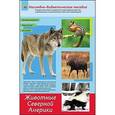 russische bücher:  - Дидактическое пособие. Животны Северной Америки