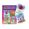 russische bücher:  - Наглядно-дидактическое пособие САДОВЫЕ ЦВЕТЫ