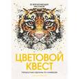russische bücher: Вебстер Д. - Цветовой квест. Непростые картины по номерам