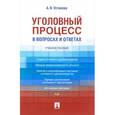 russische bücher: Устинова Анастасия Васильевна - Уголовный процесс в вопросах и ответах. Учебное пособие