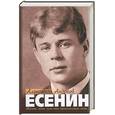 russische bücher: Андреев - Есенин. Роман