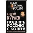 russische bücher: Андрей Кураев - Поднять Россию с колен! Записки православного миссионера