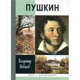 russische bücher: Новиков В.И. - Пушкин