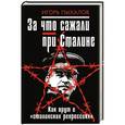 russische bücher: Игорь Пыхалов - За что сажали при Сталине. Как врут о «сталинских репрессиях»