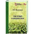 russische bücher: Владимиров Ю.В. - Как я был в немецком плену