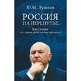 russische bücher: Лужков Ю.М. - Россия на перепутье. Дэн Сяопин и старые девы "монетаризма"