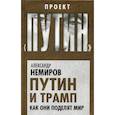 russische bücher: Александр Немиров  - Путин и Трамп. Как они поделят мир 