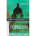 russische bücher: Кларк Катерина - Петербург, горнило культурной революции