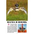 russische bücher:  - Журнал "Наука и жизнь" № 5. 2021