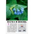 russische bücher:  - Журнал "Наука и жизнь" № 7. 2021