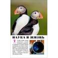 russische bücher:  - Журнал "Наука и жизнь" № 7. 2022