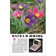 russische bücher:  - Наука и жизнь. 2023. № 3