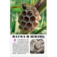 russische bücher:  - Наука и жизнь. 2023. № 4
