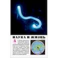 russische bücher:  - Наука и жизнь. 2023. № 5