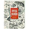 russische bücher: Дементьев А.А. - Причуды эволюции