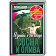 russische bücher: Шамир Исраэль - Сосна и олива. Израиль и его соседи