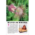 russische bücher:  - Наука и жизнь. 2024. № 6