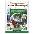 russische bücher:  - В лесу и на дворе. Чудеса преображения. Обучающая бумага 5-6 лет