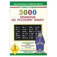 russische bücher: Узорова, Нефедова - 3000 примеров по русскому языку