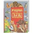 russische bücher:  - Мальчик-с-пальчик. Как кот зверей напугал. Кот, дрозд и петушок  и др.