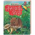 russische bücher: Пимон М. - Жизнь леса