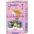 russische bücher:  - Собака. Набор из карточек с картинками. (48 карточек)