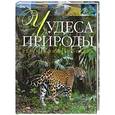 russische bücher: Ухарцева А.В. - Чудеса природы