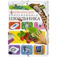 russische bücher: Ред. В. Бологова - Энциклопедия современного школьника