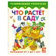 russische bücher:  - Что растет в саду. Книжка-раскраска для малышей от 3 до 5 лет