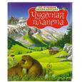 russische bücher: Вандевеле А. - Чудесная планета