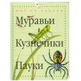 russische bücher: Моррис Т. - Муравьи. Кузнечики. Пауки