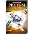 russische bücher: Розанова Е. - Рисуем собак, кошек и других животных