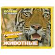 russische bücher: Джонс В. - Животные. Внутри 5 объемных конструкций. Гигантские фотографии животных.