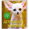 russische bücher: Блэйман Э. - Детеныши животных