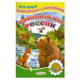 russische bücher: Михайло С. - Животный мир России